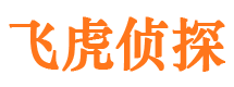 南涧市侦探公司